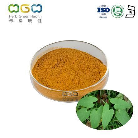 Wholesale Epimedium Extract Powder Icariin For Male Health Care