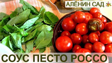 Соус с помидорами на зиму Песто Россо / Заготовки - YouTube