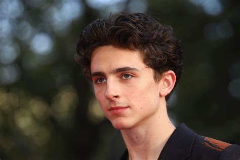 Harry Styles Interviewed Timothée Chalamet, It Made Us Miss Journalism ...