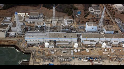 Le Japon Autorise Le Rejet Des Eaux De Fukushima Quel Impact Pour L