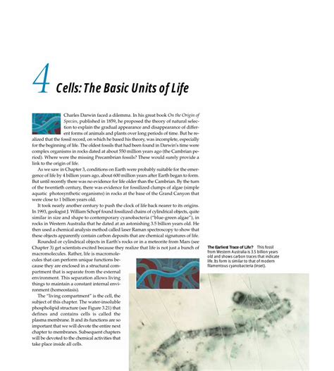 Pdf Cells The Basic Units Of Life Cells Are The Fundamental Units