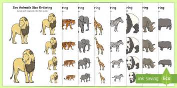 Zoo Animals Size Ordering (teacher made) - Twinkl