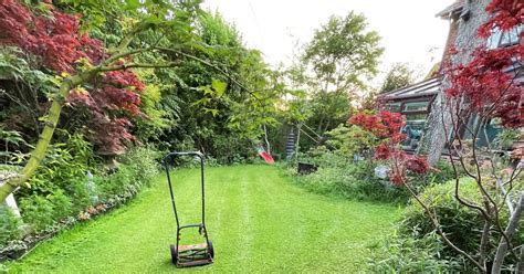 The Benefits Of Using Reel Mower To Mow Your Lawn