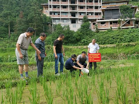 贵州省科技厅副厅长林浩赴剑河县柳旁村开展脱贫攻坚帮扶活动 中华人民共和国科学技术部