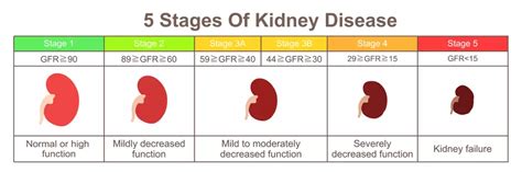 7-Day Meal Plans for Stage 4 Chronic Kidney Disease - Responsum Health