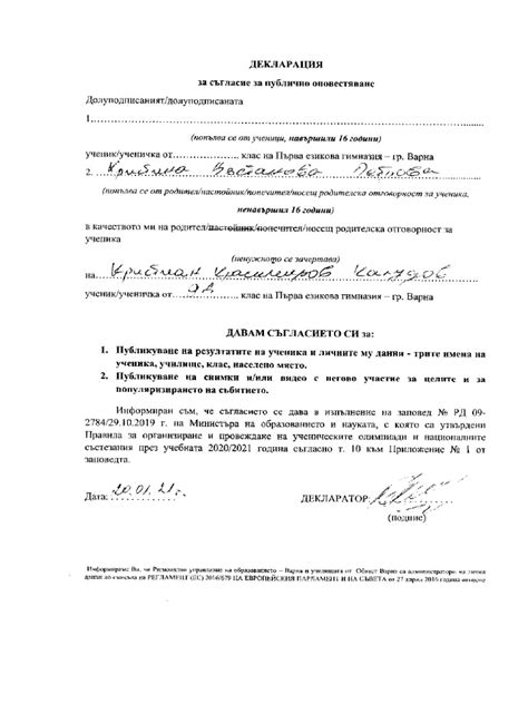 Декларация | PDF