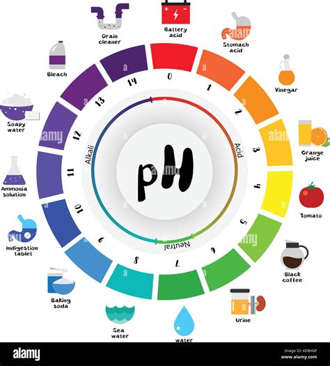 Universal Indicator Ph Scale Acid Wool Dye Easy PH Testers 