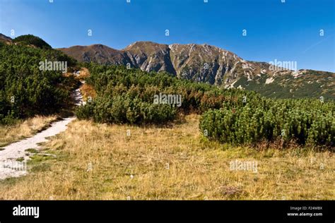 Hiking Trail In High Mountains Called Rohace Part Of Tatry Mountains