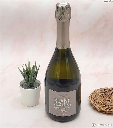 Ch Teau Tamagne Blanc Sparkling Wine