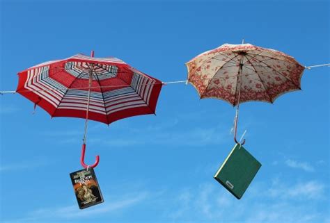 Free Images Sea Flower Wind Umbrella Colourful Color Colorful