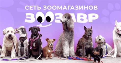 Украшения и аксессуары для собак купить в интернет-магазине недорого ...