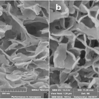 FE SEM Micrographs Of SA ZnSe NPs A Magnification Scale 110 Kx With