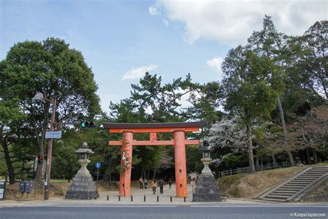 Nara Park - The Cornerstone of the Town of Nara