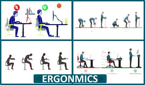 10 Fundamental Principles Of Ergonomics To Follow