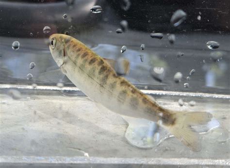 Home - King County Flood Control District