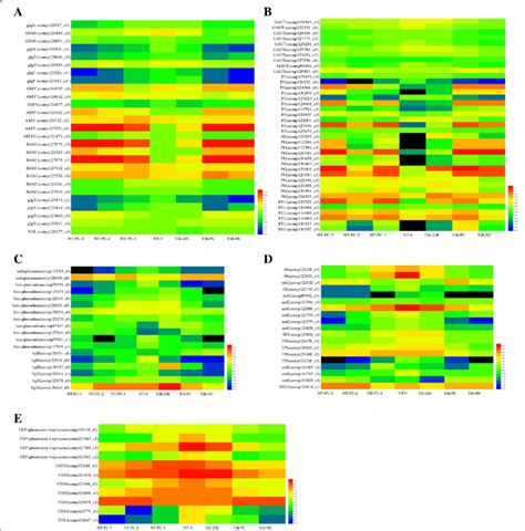 Heat Map Diagram Of The Expression Patterns For DEGs Annotated In The