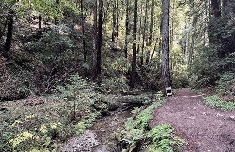 10 Best hikes and trails in Redwood National Park | AllTrails