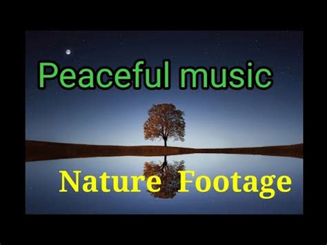 Peaceful Music With Nature Footage Music To Heal Your Soul Mind Body