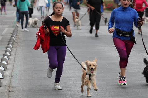 Cuándo se realizará la Carrera Perrona 2023 en SLP Líder Empresarial