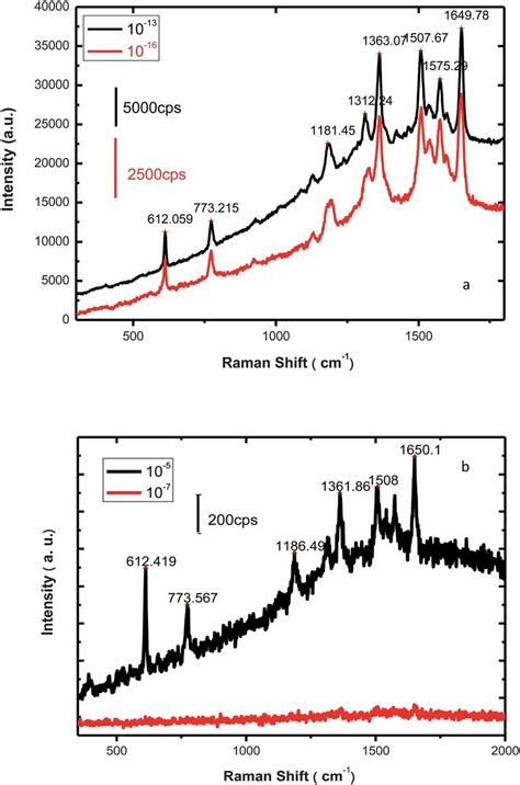 a SERS spectra of R6G of various concentrations 5 0 Â 10 À13 and 5 0