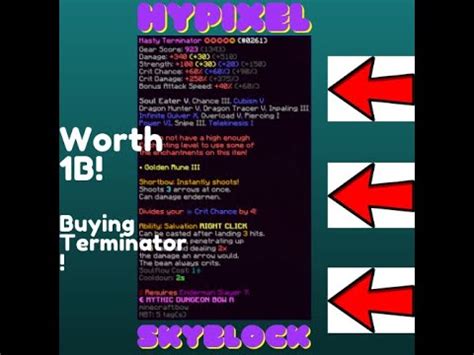 Buying A Terminator Hypixel Skyblock Youtube