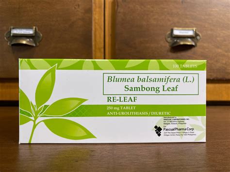 Blumea Balsamifera L Sambong Leaf Re Leaf 250mg Tablet Meds For All