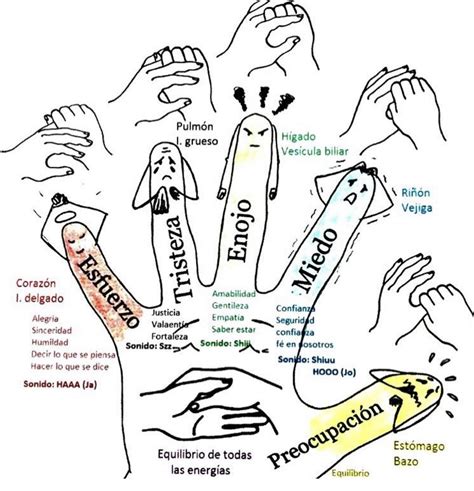 Los Puntos Energ Ticos En Nuestros Dedos El Sendero Del Chaman