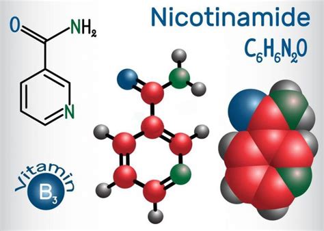 Nicotinamida O Que É