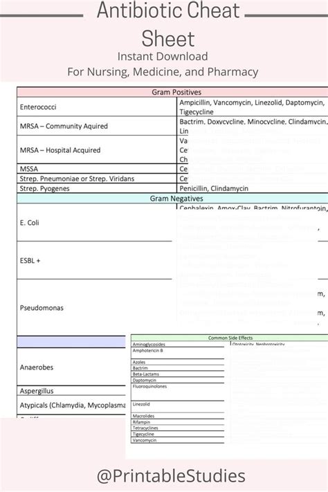 Antibiotic Cheat Sheet Pharmacology Notes Pharmacology For Etsy