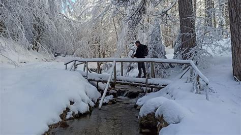 Una Domenica Sulla Neve A Camigliatello Con Ciaspolata