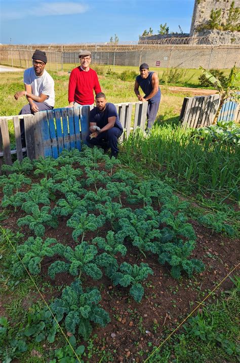 Inmate Gardening Programme Being Used To Supplement Kitchens Within