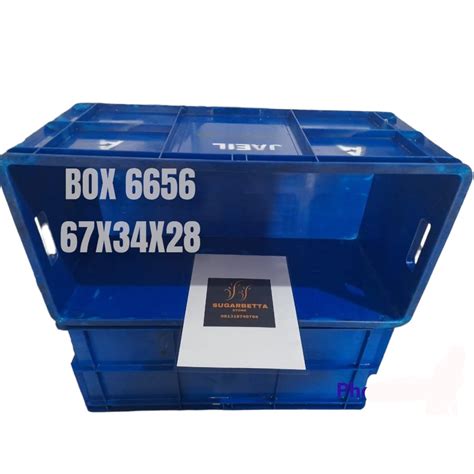 Jual Kandang Reptil Box Rapat Bak Kontener Box Peralatan Tool Box Box