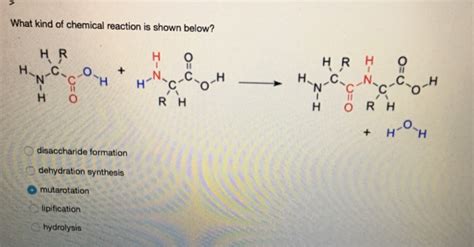 Solved Look at the molecule shown below. The carbon atomson | Chegg.com 