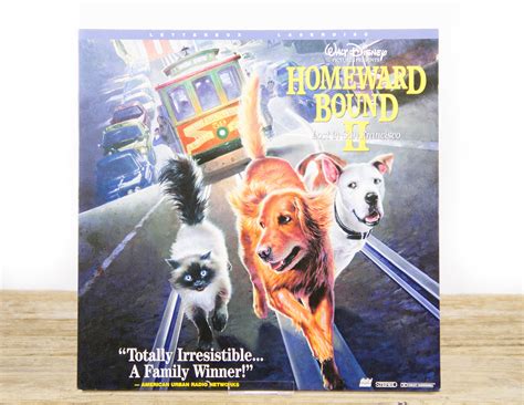 Vintage Disney Homeward Bound 2 LaserDisc Movie / Vintage Laser Disc ...