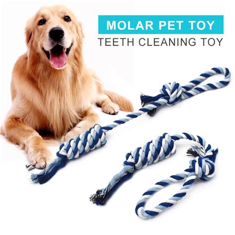 Jouet De Nettoyage Des Dents Pour Grands Chiens Durable Non Toxique