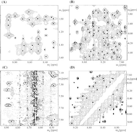 Representative Regions Of The D H H Noesy Spectrum Of The