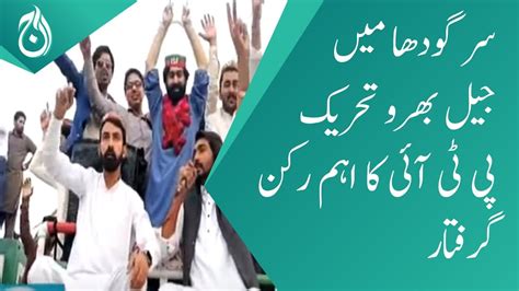 Jail Bharo Tehreek More Than Pti Leaders Workers Arrest In