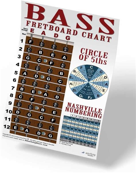 4 String Bass Instructional Chart With Fretboard Notes Poster Nashville Numbering