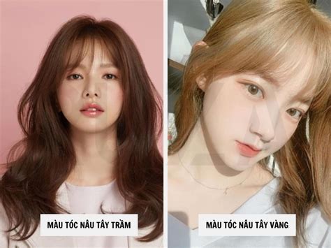 Tổng Hợp Các Màu Tóc Nâu Tây Hot Trend Nhất Hiện Nay