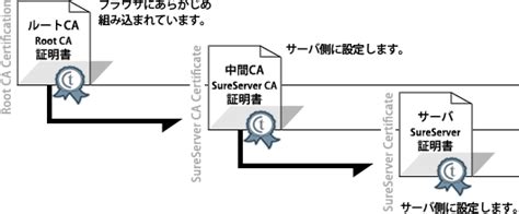 Sureserver の階層について教えてください｜ssltls サーバー証明書 Sureserver｜ サイバートラスト