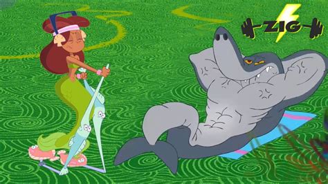 Zig Sharko GYM S01E16 New Episodes In HD YouTube