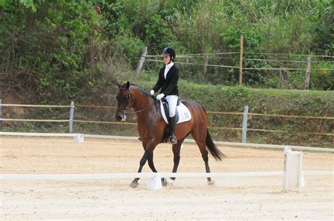 2013 FEI World Dressage Challenge (photos) - ttequestrian.org