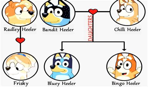 Bluey Family Tree That Every Fan Must Know - Friction Info