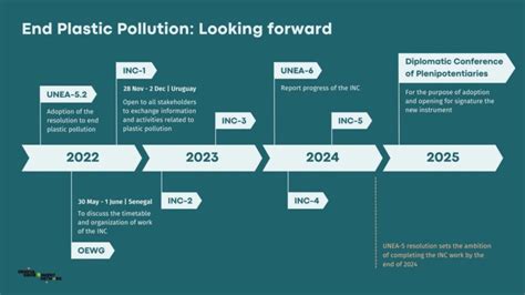 International Cooperation on Plastic Pollution | Plastics and the ...