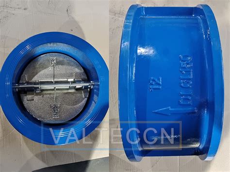 Dual Plate Wafer Check Valves Exported To Vietnam Be The Best Choice