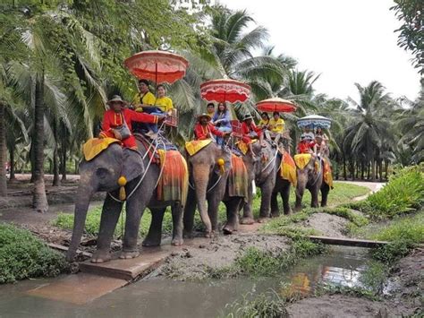 Elephant Ride And Floating Market Tour At Damnoen Saduak 3785 Book Best Price Tour