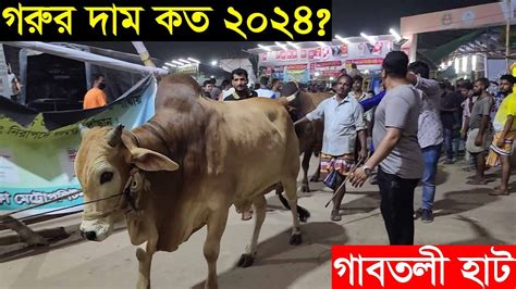 শুক্রবার রাতে কেমন দামে গরু বিক্রি হচ্ছে। গরুর দাম কত ২০২৪ গাবতলী হাট