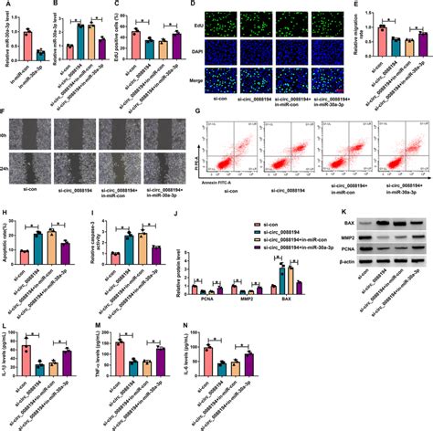 Ra Progression Was Co Regulated By Circ0088194 And Mir 30a 3p In