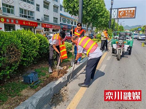 栾川这群人随身携带工具箱，为了→澎湃号·政务澎湃新闻 The Paper