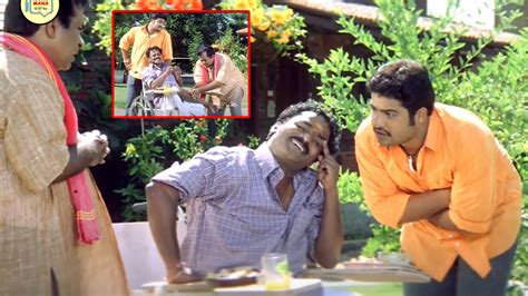 Ntr Venu Madhav And Brahmanandam Comedy Scene Telugu Comedy Scenes